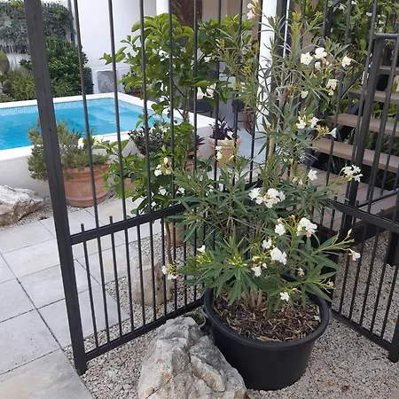 Jelic Zadarvillas Villa *